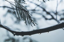 As autoridades alertam para nova tempestade de neve na Califórnia 