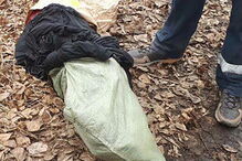 Homem foi 'apanhado' a esfolar um cão, cuja carne ia entregar num restaurante de kebabs