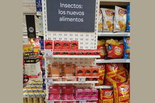 Carrefour vende alimentos com insetos e invertebrados