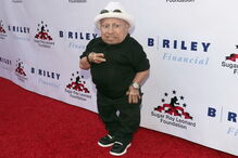 Verne Troyer