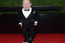 Verne Troyer