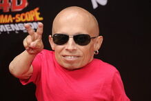 Verne Troyer