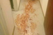 Mulher corta pénis de amante