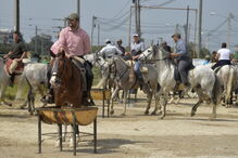 Romaria a cavalo liga a Moita a Viana do Alentejo