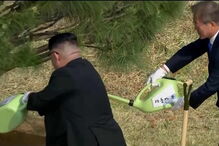 Líderes das Coreias plantaram árvore em sinal de paz