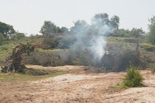 2018-04-27_14_38.06 queimada.jpg