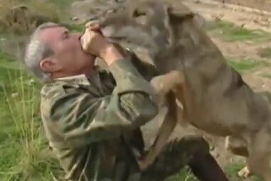 Homem criado por lobos diz que está "desapontado" com a vida humana