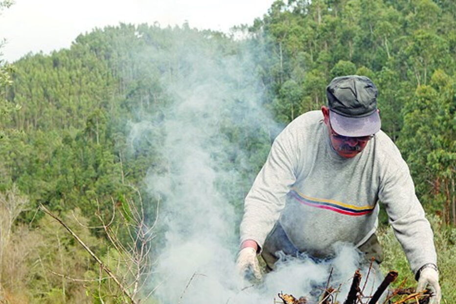 Limpezas a fazer até maio