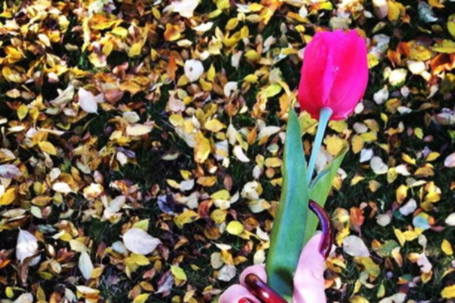 Estudante exibe unhas de 15 centímetros nas redes sociais