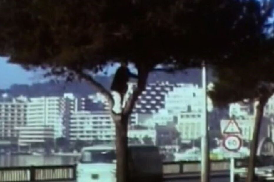 Homem criado por lobos diz que está 