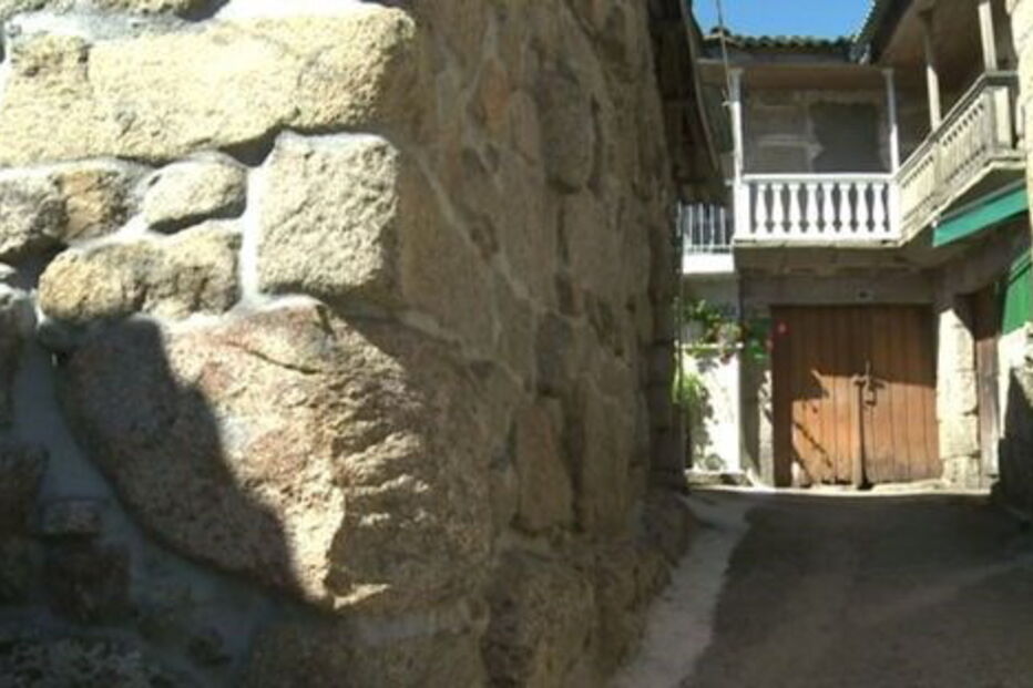 Homem criado por lobos diz que está 