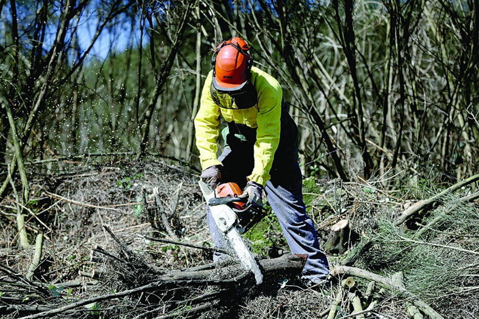 Prevenção nas florestas