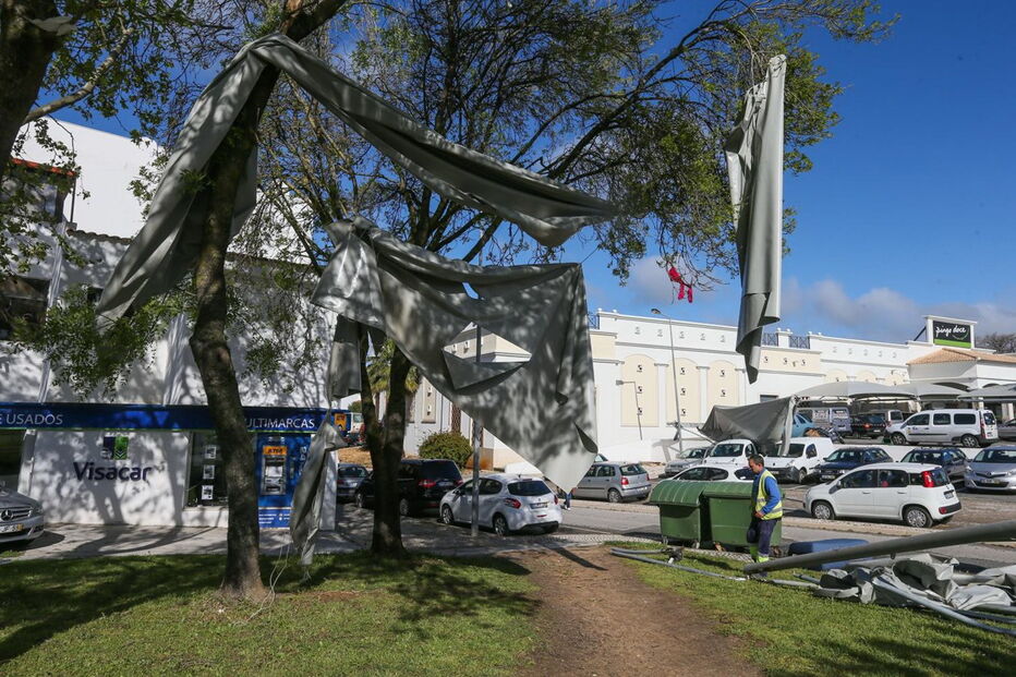 2018-04-13_10_46.49 M2-15901947.JPG