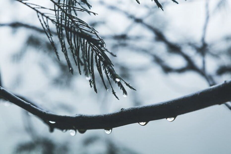As autoridades alertam para nova tempestade de neve na Califórnia 