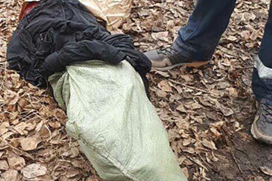 Homem foi 'apanhado' a esfolar um cão, cuja carne ia entregar num restaurante de kebabs