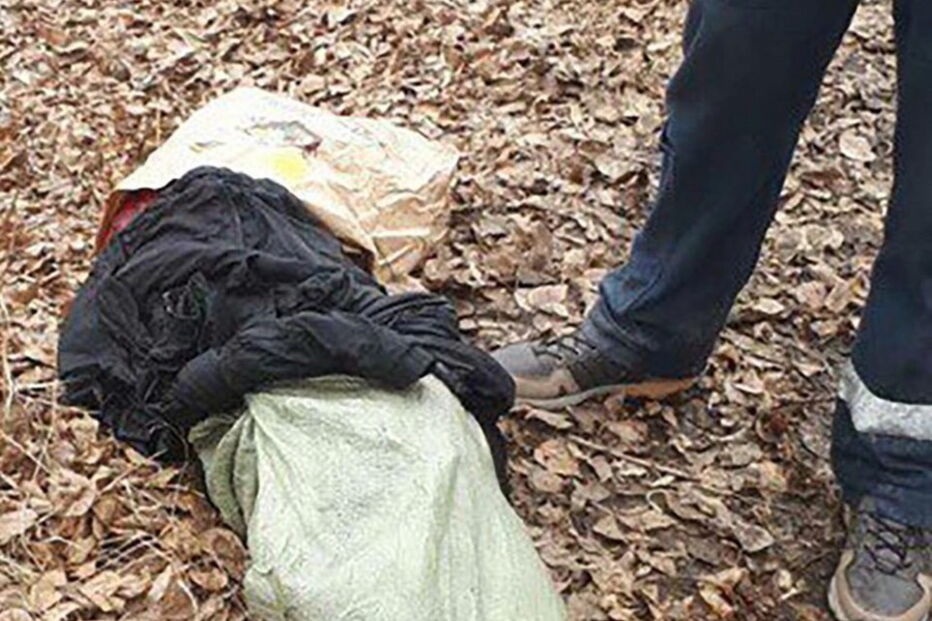 Homem foi 'apanhado' a esfolar um cão, cuja carne ia entregar num restaurante de kebabs