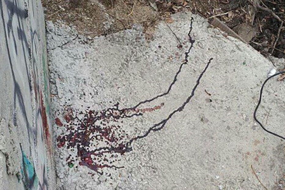 Homem foi 'apanhado' a esfolar um cão, cuja carne ia entregar num restaurante de kebabs