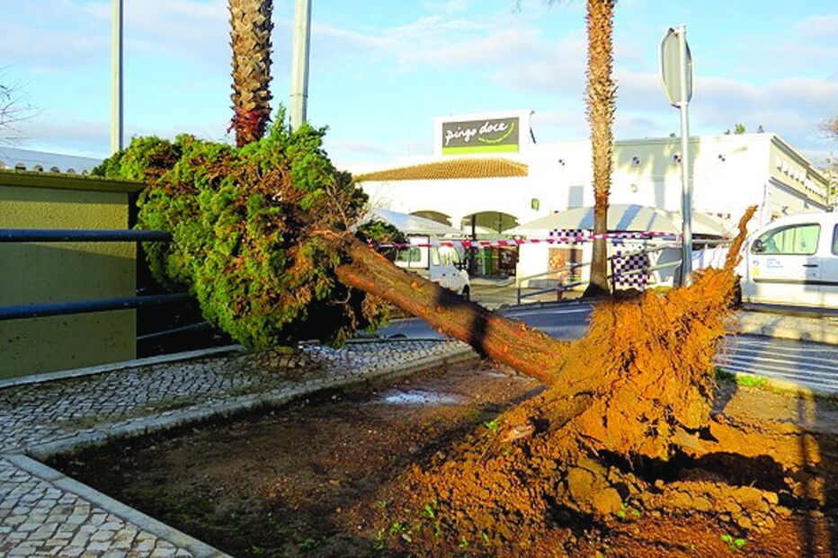 Prejuízos de 100 mil euros após terceiro tornado