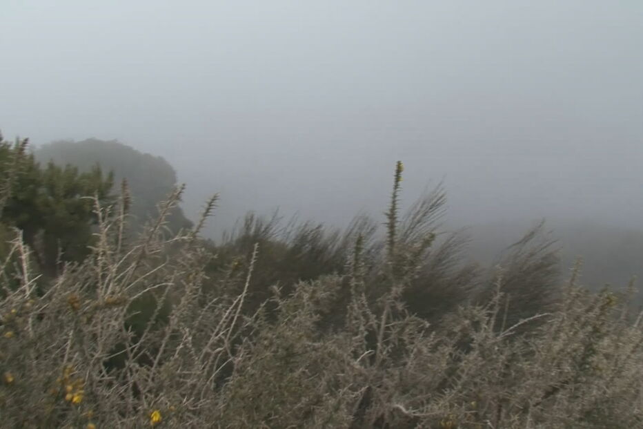 Francês morre após queda de 20 metros em levada na Madeira