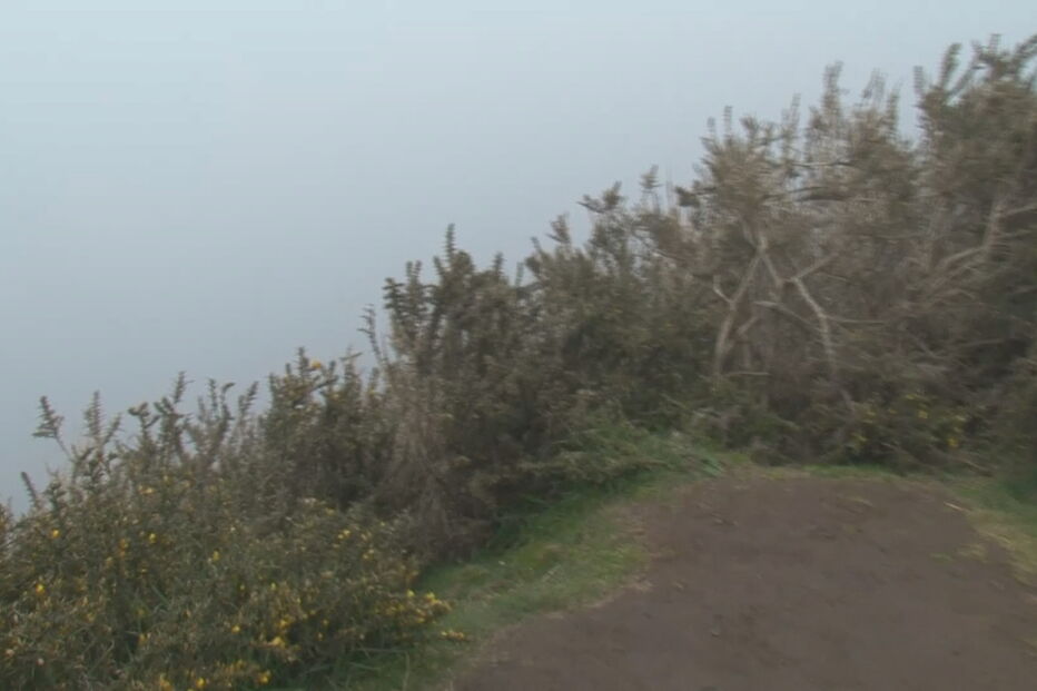 Francês morre após queda de 20 metros em levada na Madeira