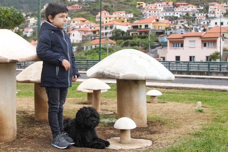 2018-04-15_19_58.34 M2-15915068.JPG