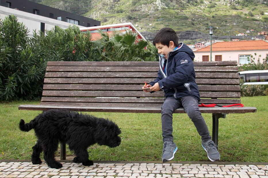 2018-04-15_19_58.35 M2-15915077.JPG