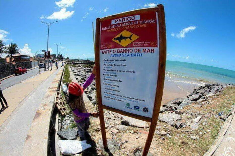 Turista atacado por tubarão no Brasil
