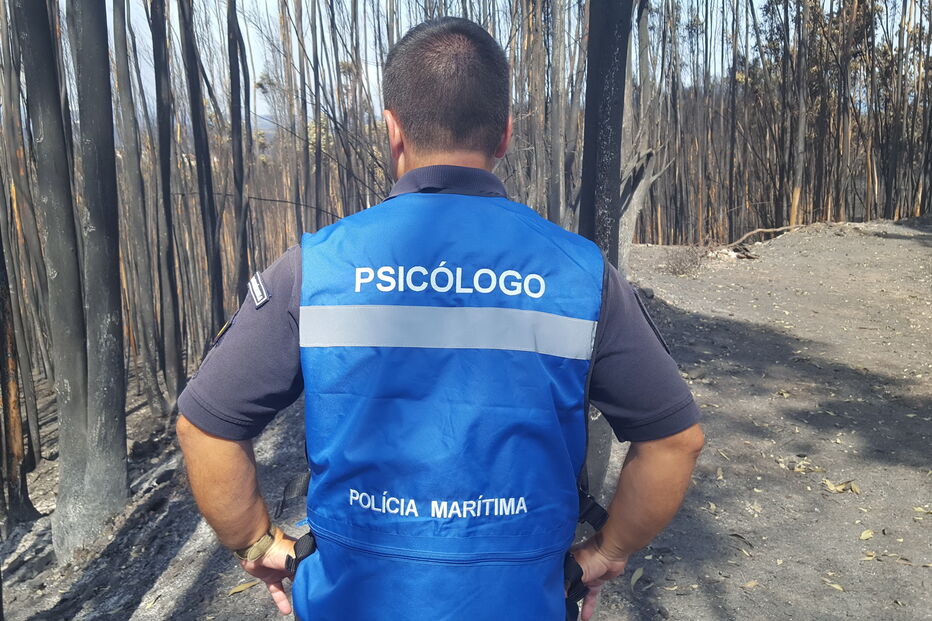 2018-04-20_15_07.40 20170620_161410.jpg