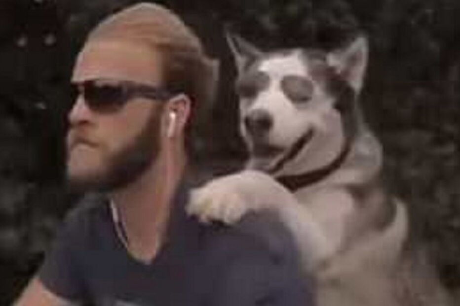 Cão anda de mota com o dono