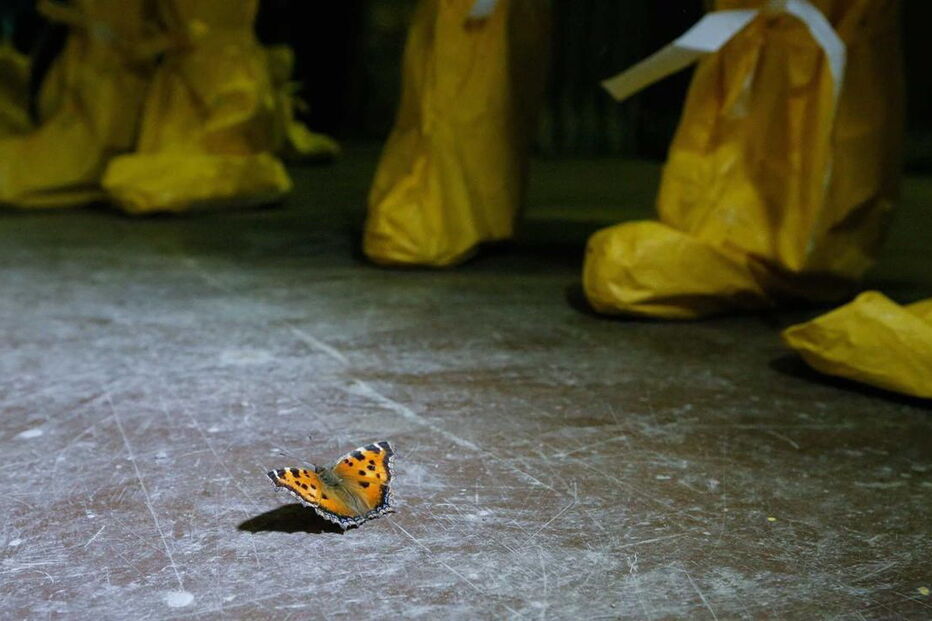 Conheça a misteriosa central nuclear de Chernobyl