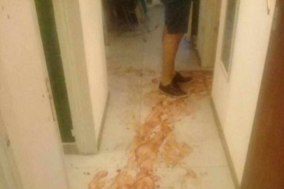 Mulher corta pénis de amante