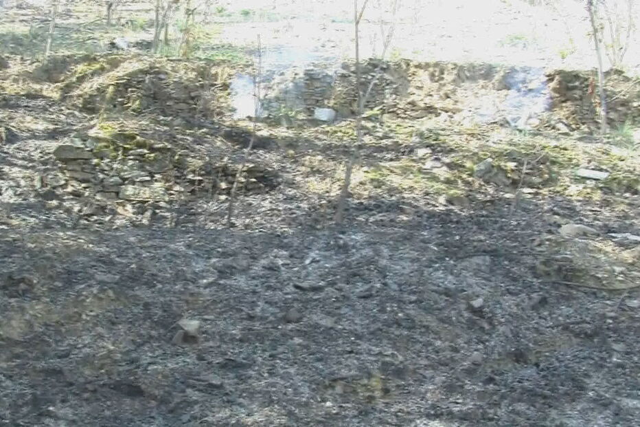 2018-04-25_16_40.10 as.jpg