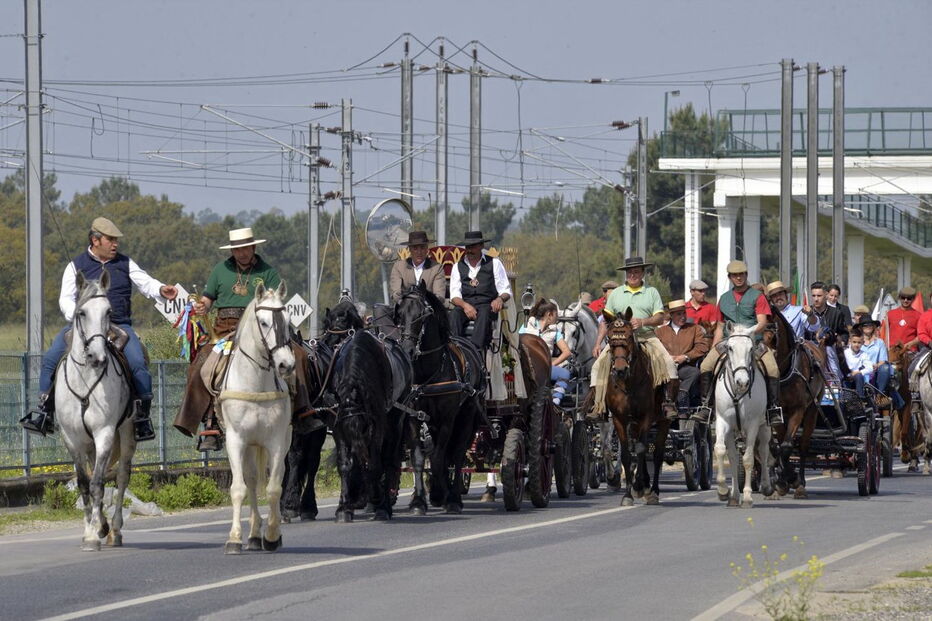 Romaria a cavalo liga a Moita a Viana do Alentejo