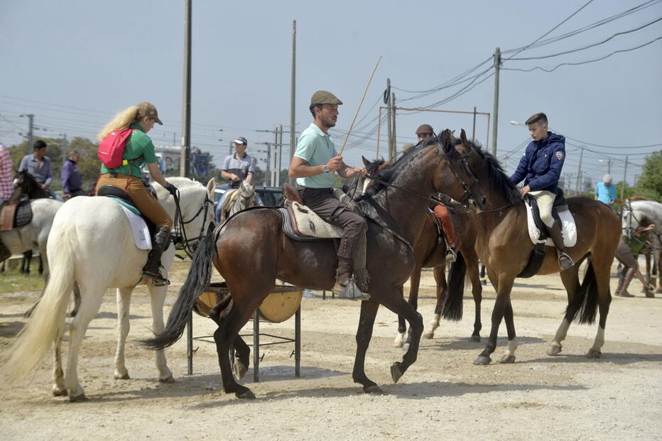 Romaria a cavalo liga a Moita a Viana do Alentejo