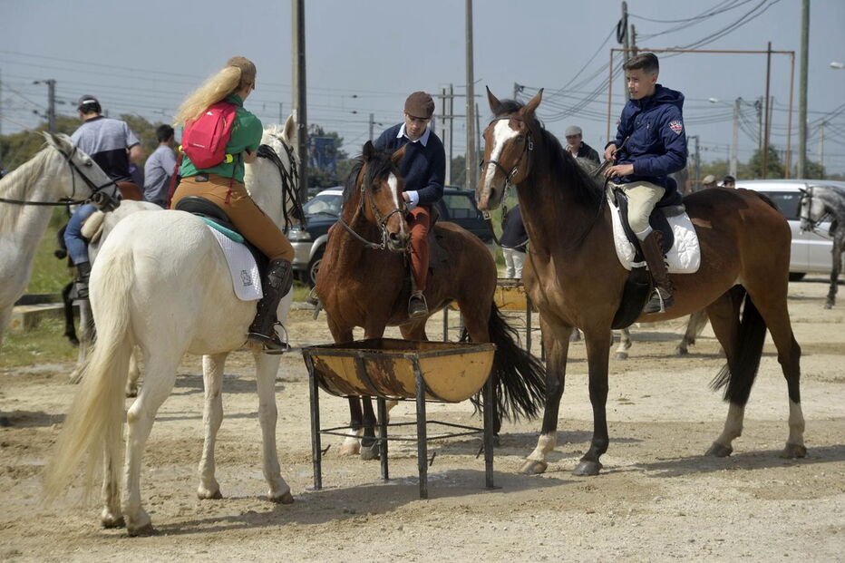 Romaria a cavalo liga a Moita a Viana do Alentejo