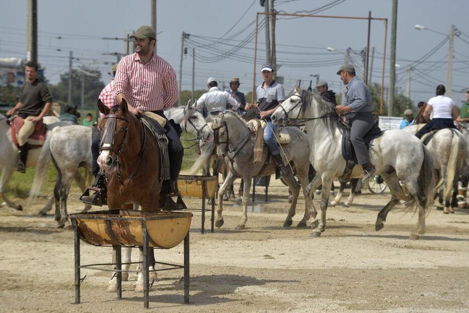 Romaria a cavalo liga a Moita a Viana do Alentejo