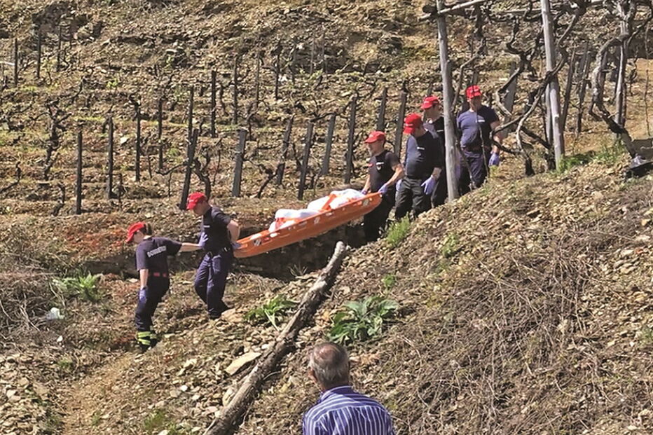 Cadáver da vítima foi encontrado já depois de os bombeiros extinguirem o fogo, num terreno onde tinha sido ateada uma queimada que se descontrolou em Vinhós