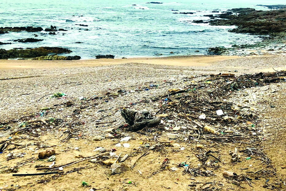 Detritos e poluição nas praias da cidade do Porto levaram a autarquia a pedir à APDL a limpeza urgente dos areais