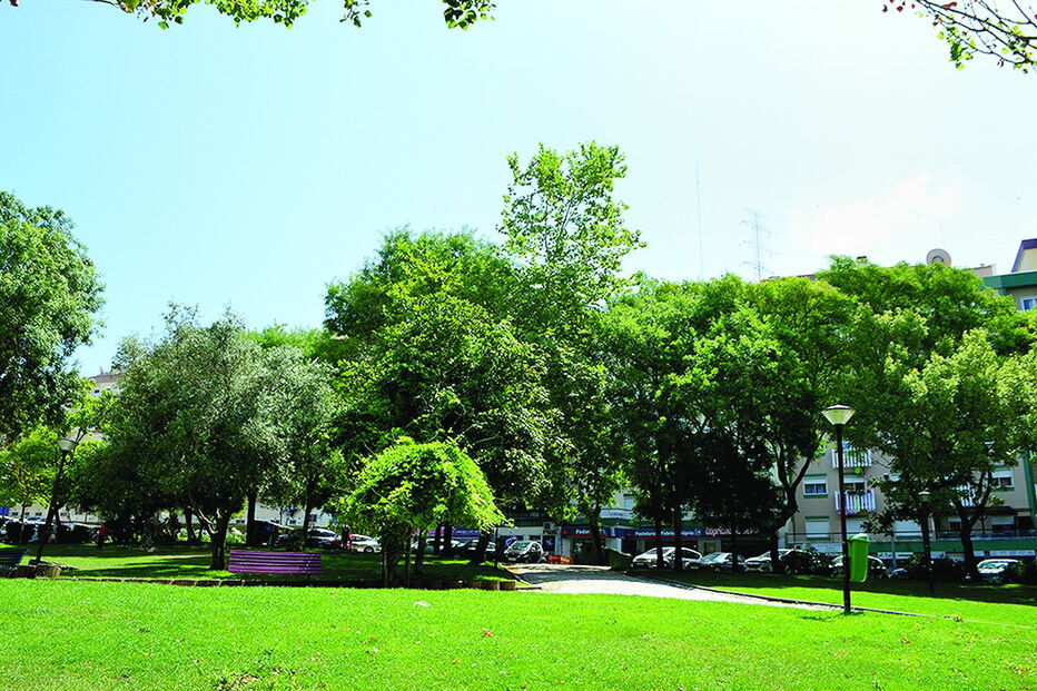 Predador foi detido em jardim de Belas