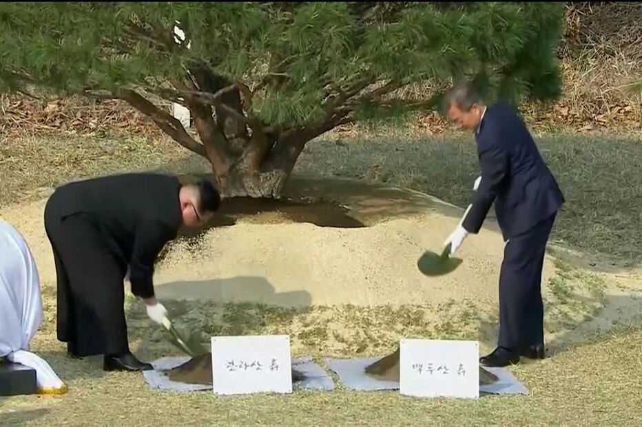 Líderes das Coreias plantaram árvore em sinal de paz