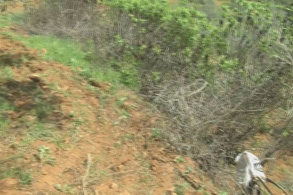 Homem morre em acidente de trator em Macedo de Cavaleiros