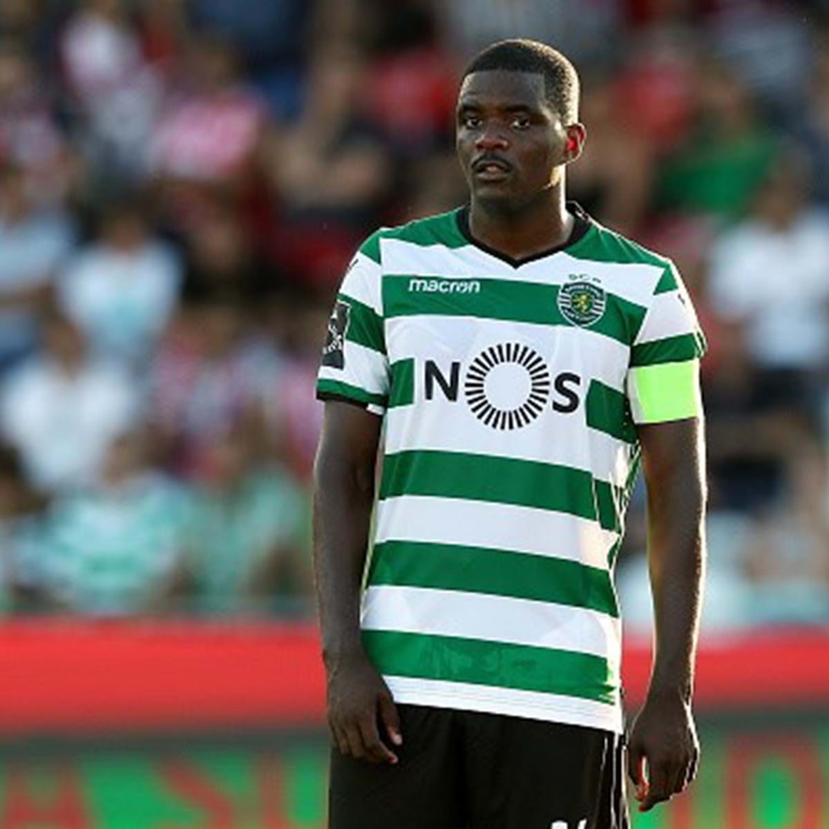 William Carvalho tem uma capacidade tremenda para jogar futebol» - TVI  Notícias