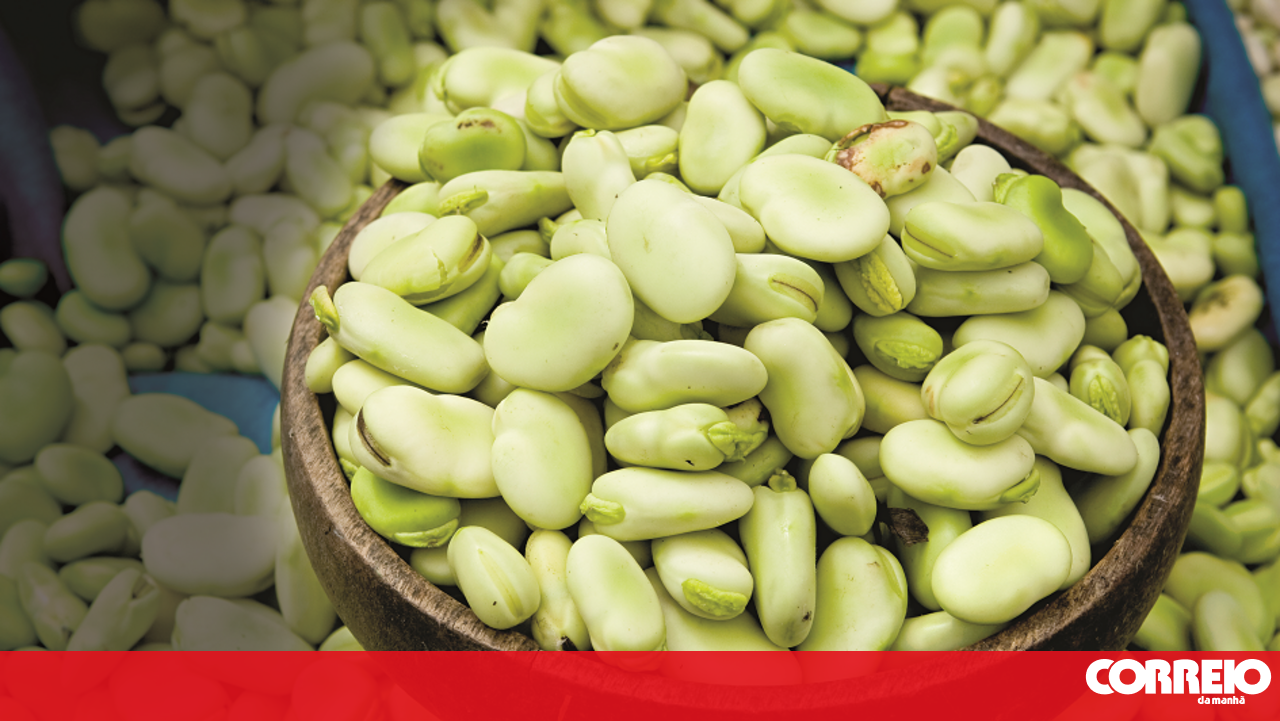 Meirinhas in Pombal wants to 'tell storm Kristin to get lost' with 1,200 kilos of broad beans