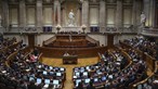 Parlamento aprova na generalidade diplomas sobre ordens profissionais
