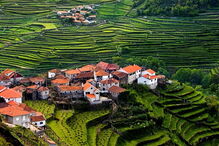 Sistelo é uma aldeia do concelho de Arcos de Valdevez