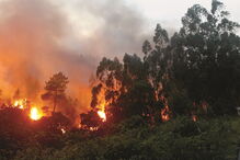 incendio, pedrograo grande, protecao civil, 2017