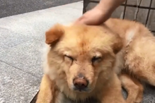 2018-05-05_14_20.20 cao2.png