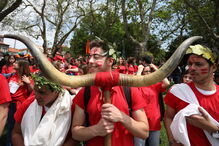 Cortejo da Queima das Fitas invadiu ruas do Porto