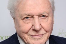 David Attenborough 