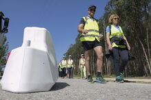 Peregrinos a Fátima 